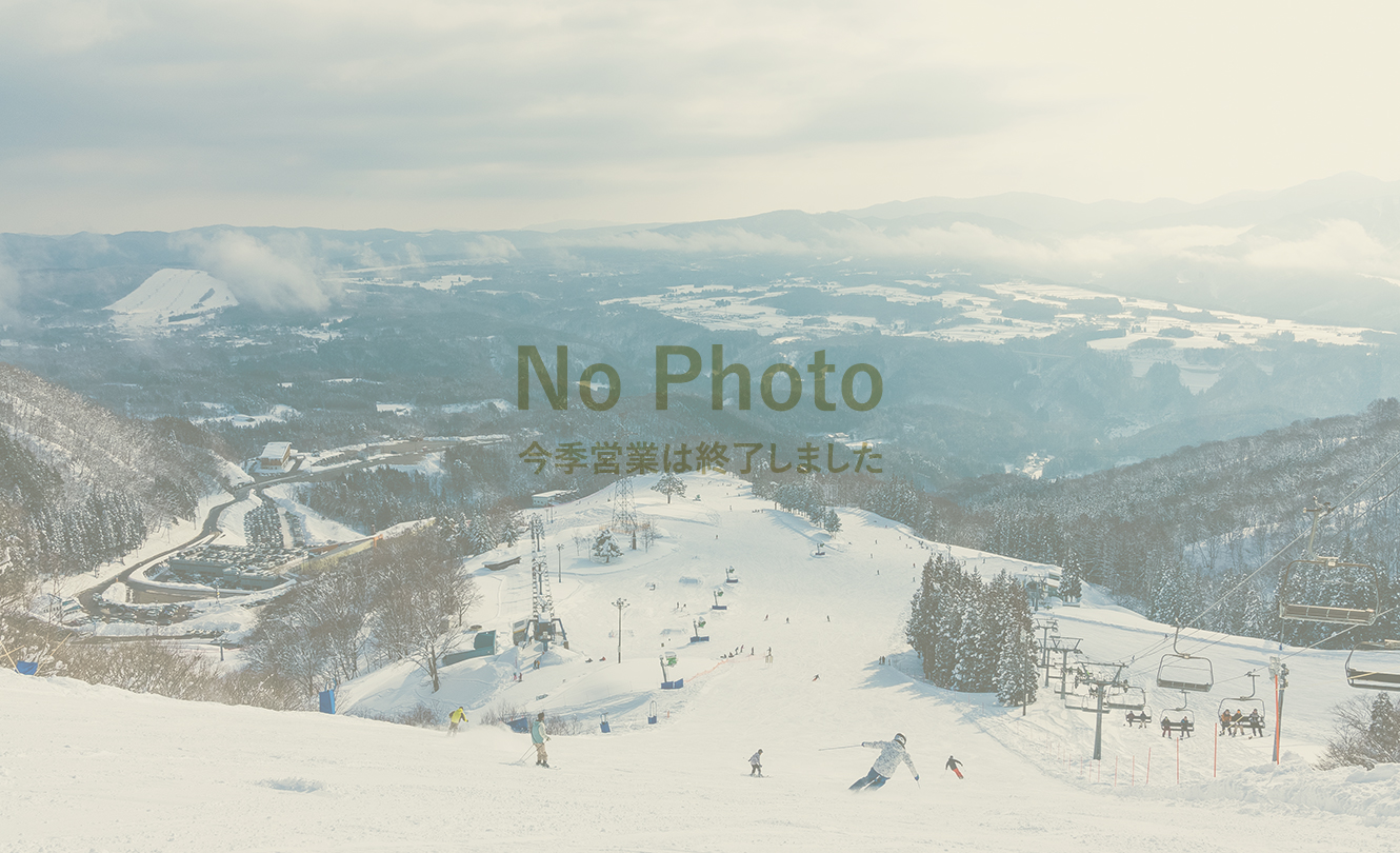 ライブカメラの画像