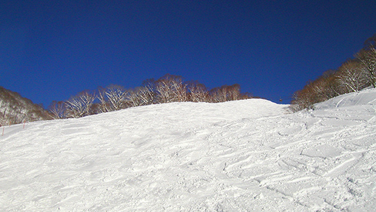 チャレンジCコース写真