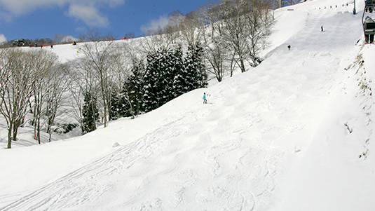 モーグルコース写真