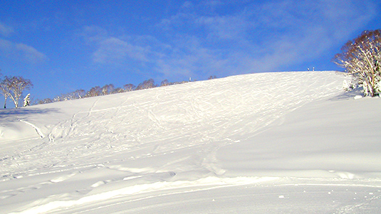 パラダイスBコース写真