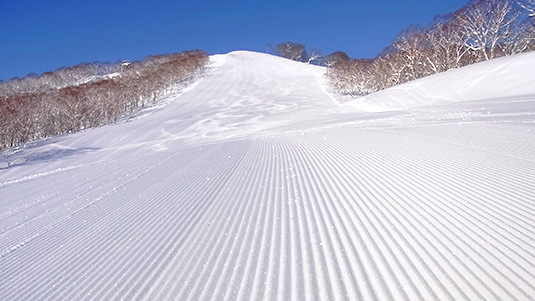 スカイラインAコース写真