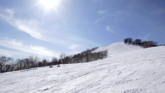 スカイラインBコース写真