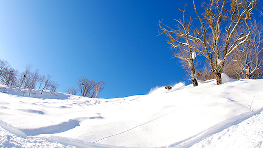 チャレンジBコース写真