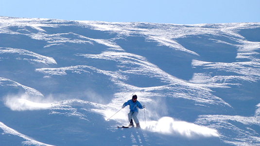 神中Bコース写真
