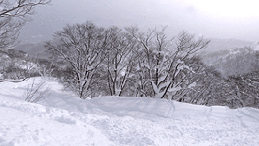 クマダナコース写真