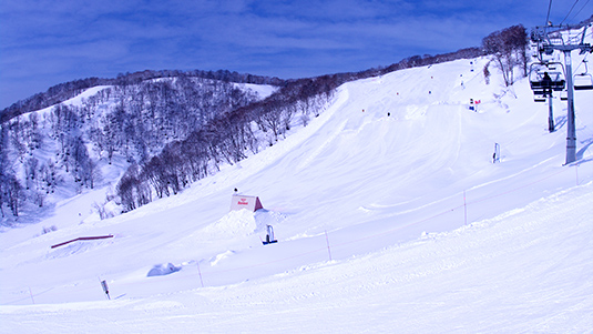 Re:テレインパーク写真