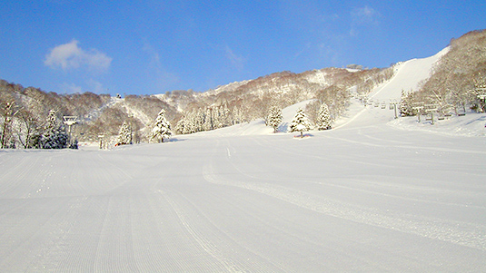 第6ゲレンデ写真