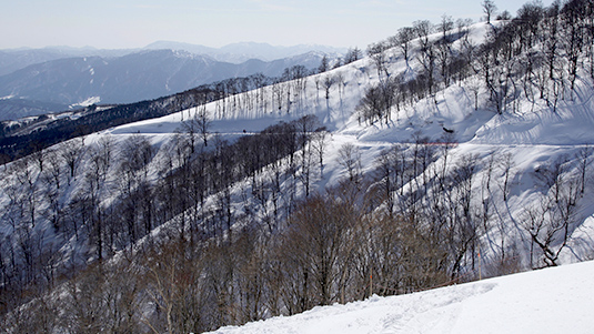 βｰα山頂連絡コース写真