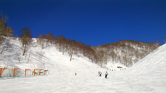 神中Aコース写真