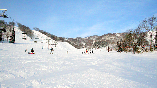 から松ゲレンデ写真