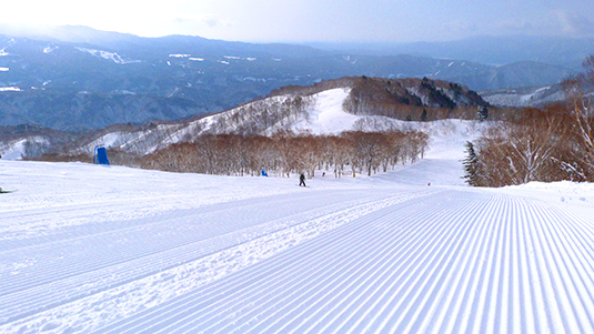 パラダイスAコース写真